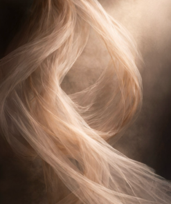 Nutrition Bilan initial: 90 min